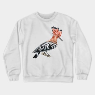 hoopoe bird hand drawn Crewneck Sweatshirt